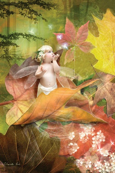 Fairies: When Autumn Sings by Charlotte Bird