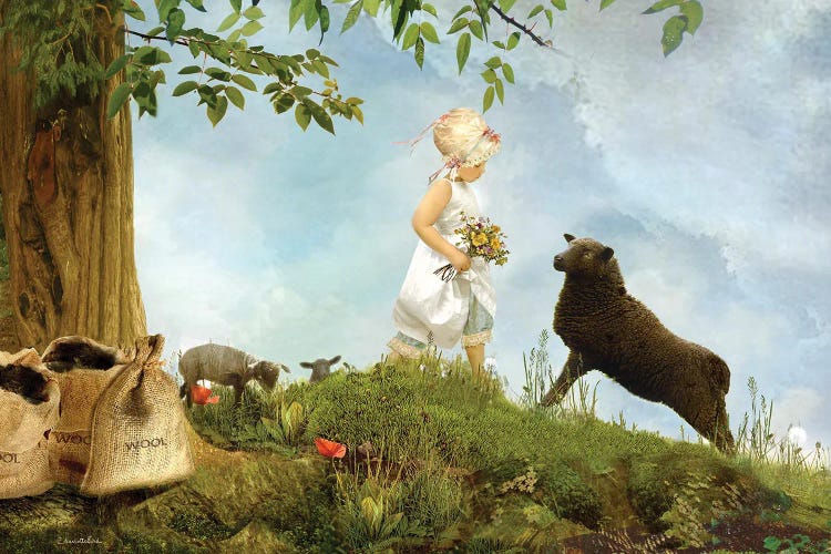 Baa Baa Black Sheep
