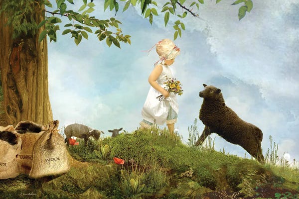 Baa Baa Black Sheep