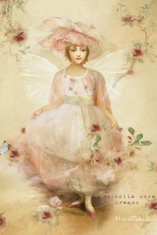 Magnolia Rose by Charlotte Bird wall art