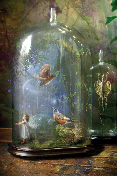 Kids Fantasy Art: Curios by Charlotte Bird