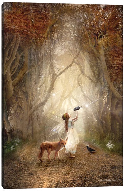 The Dark Hedges Ireland Canvas Art Print - Fairy Art