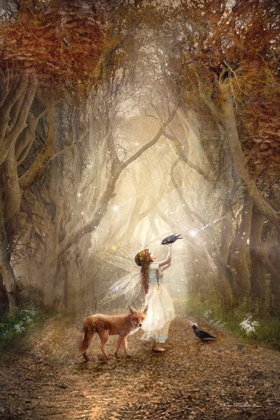 Foxes: The Dark Hedges Ireland by Charlotte Bird