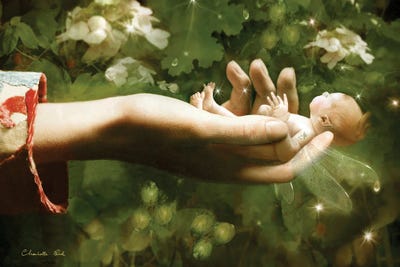 The Foundling by Charlotte Bird canvas print