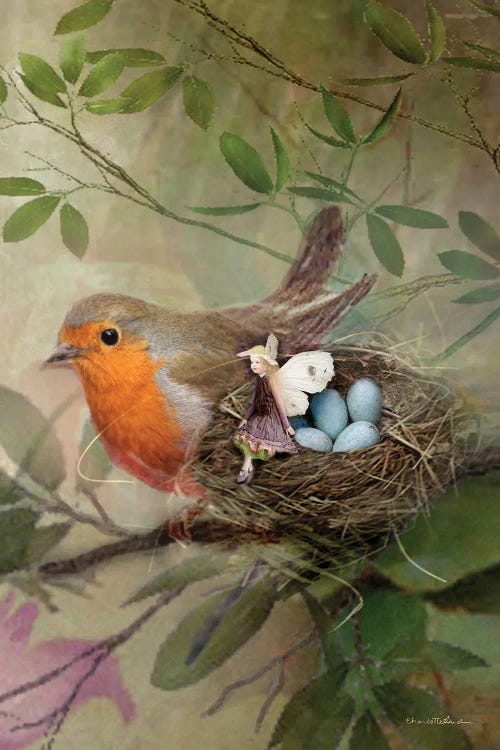 My Friend The Robin