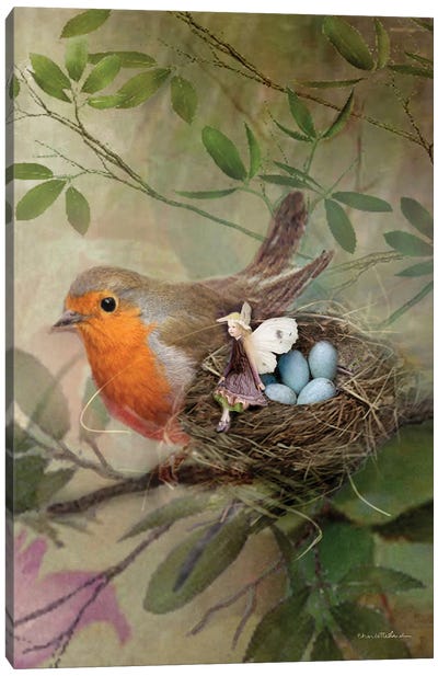 My Friend The Robin Canvas Art Print - Nests