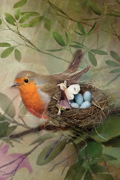 The Secret Lives Of Fairies: My Friend The Robin by Charlotte Bird