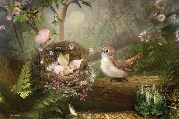 The Secret Lives Of Fairies: The Lullabye by Charlotte Bird