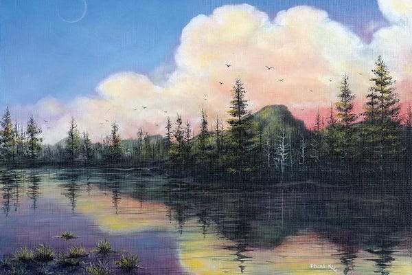 Pine Trees: Thinking of P.N.W. by ColorByFeliks