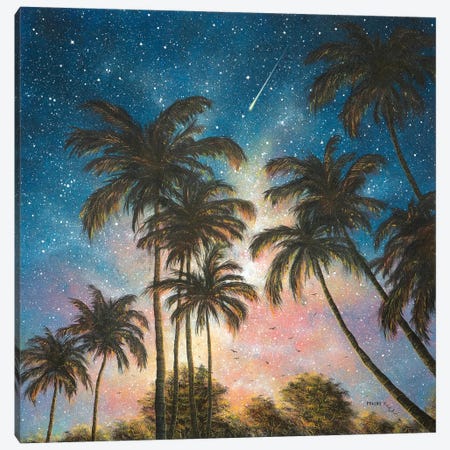 Tropical Night Canvas Print #CBF18} by ColorByFeliks Canvas Art Print