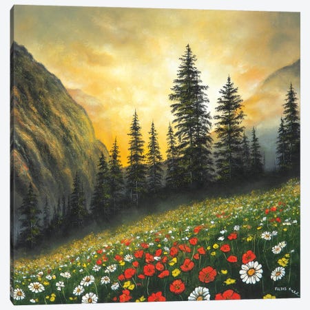 Among The Mountains Canvas Print #CBF1} by ColorByFeliks Canvas Art Print