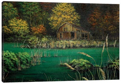 Good Memories Canvas Art Print - Marsh & Swamp Art