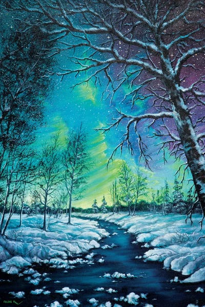 Aurora Borealis: Neon Night by ColorByFeliks