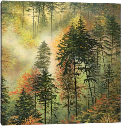 Northwest Glory Canvas Art Print - Evergreen Tree Art