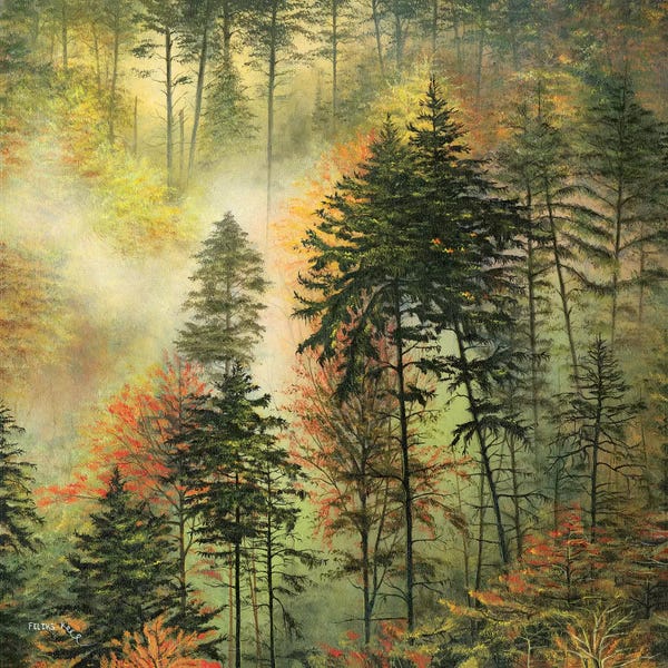 Mist & Fog: Northwest Glory by ColorByFeliks