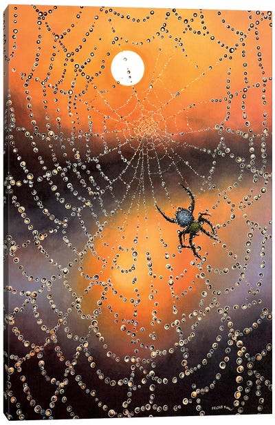 Waiting For You Canvas Art Print - Spider Art