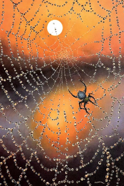 Spiders: Waiting For You by ColorByFeliks