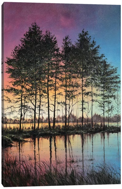 Stillness Canvas Art Print - ColorbyFeliks