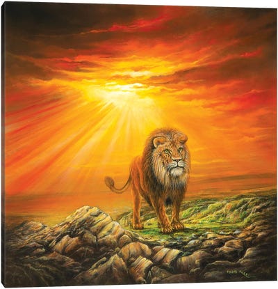 Lion Of Judah Canvas Art Print - Lion Art