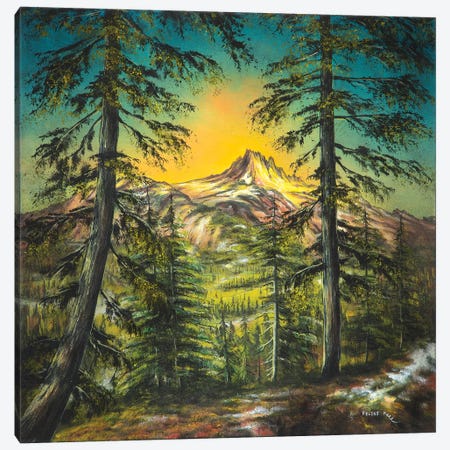Mountain Glow Canvas Print #CBF9} by ColorByFeliks Canvas Art Print