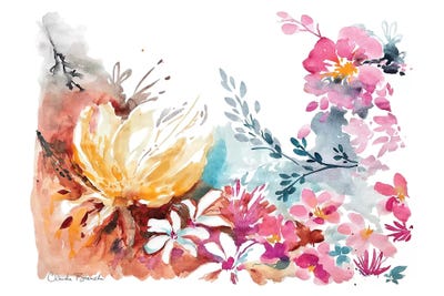 Blossom Spray by Claudia Bianchi art print
