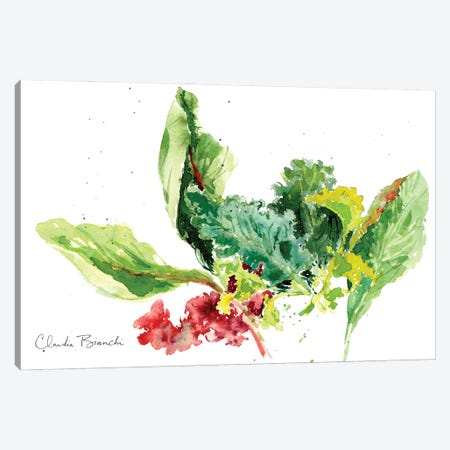Garden Greens Canvas Print #CBI100} by Claudia Bianchi Canvas Wall Art