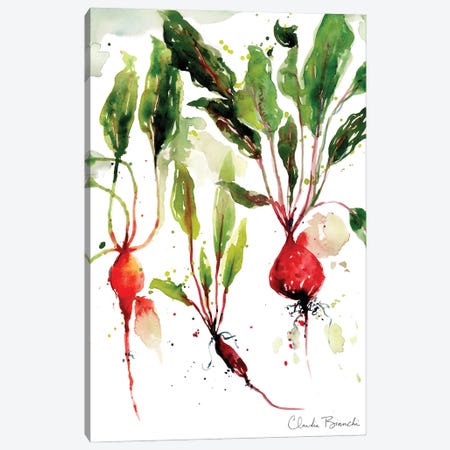 Garden Beets Canvas Print #CBI103} by Claudia Bianchi Canvas Artwork