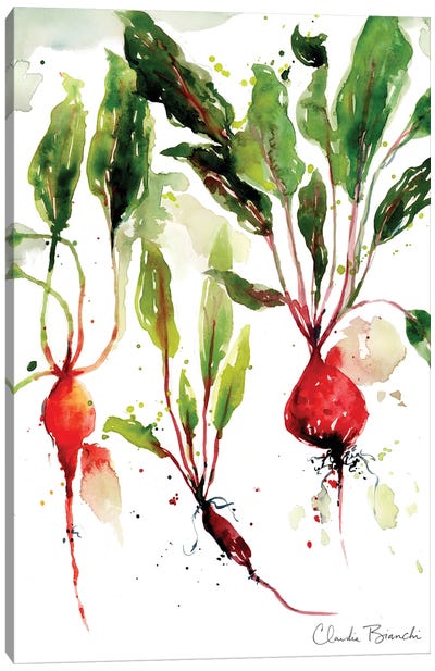 Garden Beets Canvas Art Print - Claudia Bianchi