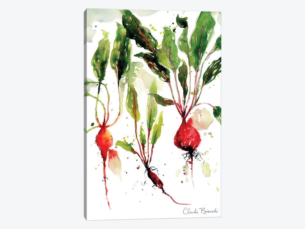 Garden Beets by Claudia Bianchi 1-piece Canvas Art