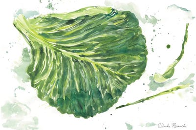 Cabbage Garden by Claudia Bianchi art print