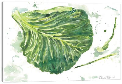 Cabbage Garden Canvas Art Print - Vegetable Art