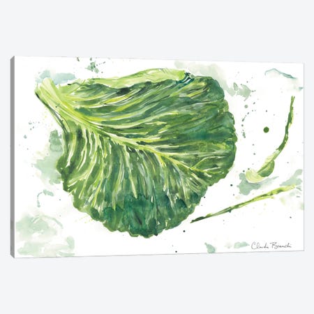 Cabbage Garden Canvas Print #CBI104} by Claudia Bianchi Canvas Print