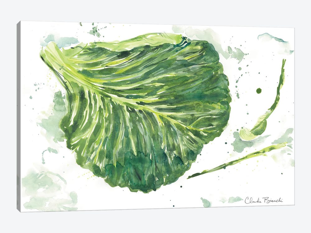 Cabbage Garden by Claudia Bianchi 1-piece Art Print