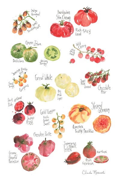 Heirlooms by Claudia Bianchi art print