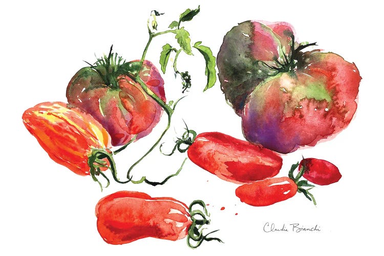 Tomato Still Life by Claudia Bianchi wall art