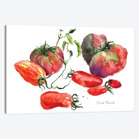 Tomato Still Life Canvas Print #CBI108} by Claudia Bianchi Canvas Artwork