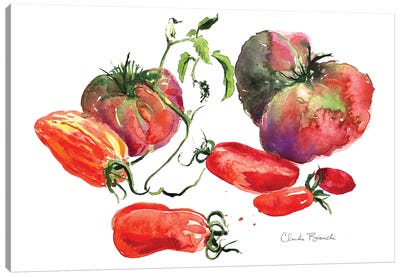 Tomato Still Life Canvas Art Print - Claudia Bianchi