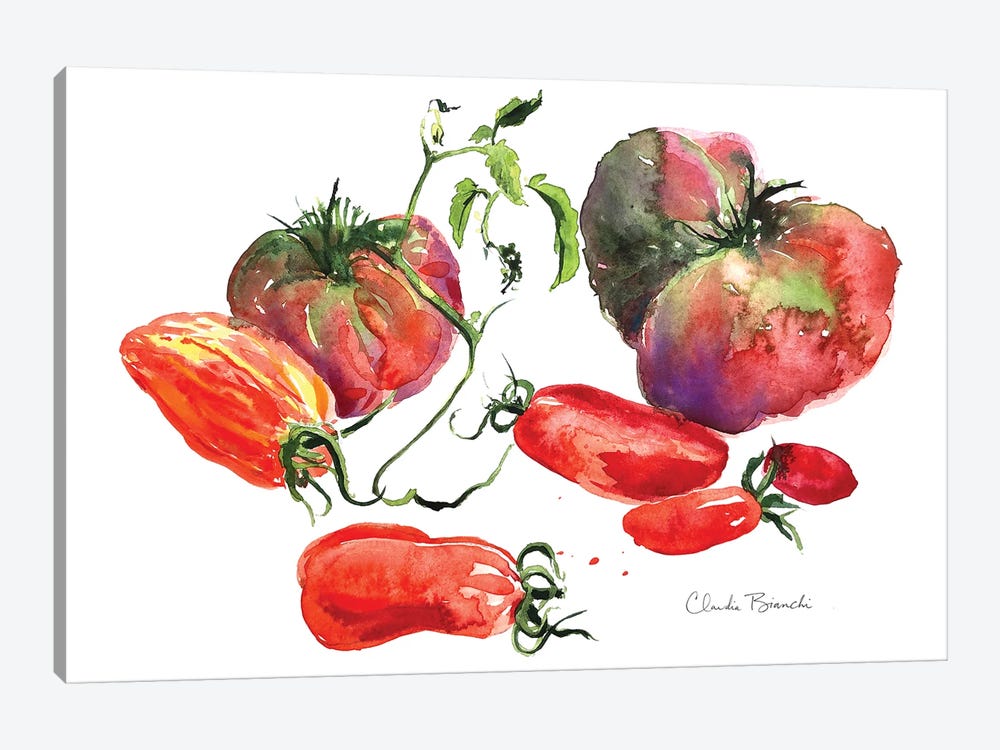 Tomato Still Life by Claudia Bianchi 1-piece Art Print