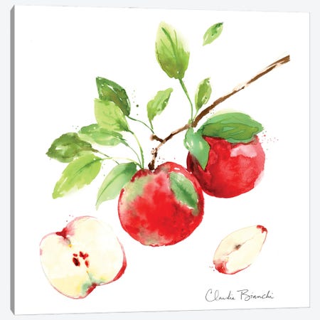 Apple Season Canvas Print #CBI109} by Claudia Bianchi Canvas Wall Art