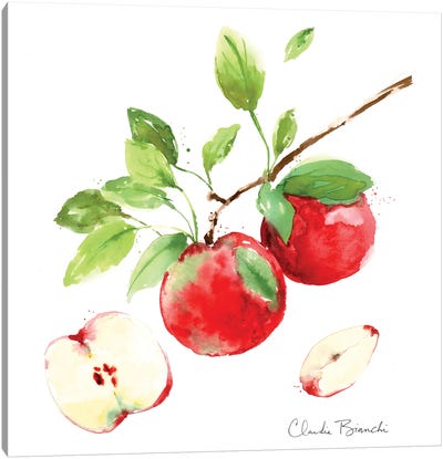 Apple Season Canvas Art Print - Claudia Bianchi