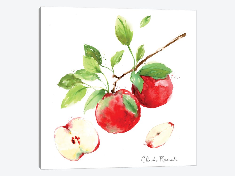 Apple Season by Claudia Bianchi 1-piece Canvas Wall Art