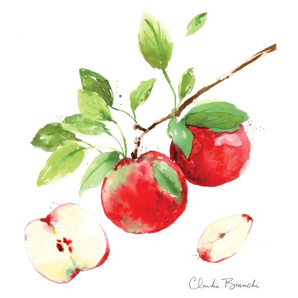 Apples: Apple Season by Claudia Bianchi