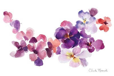 Pansy Party by Claudia Bianchi acrylic art print