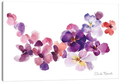 Pansy Party Canvas Art Print - Claudia Bianchi