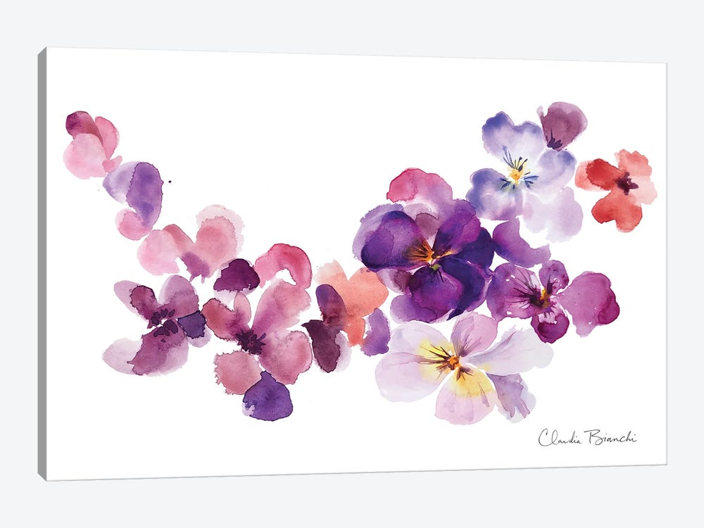 Pansy Party by Claudia Bianchi 1-piece Canvas Wall Art