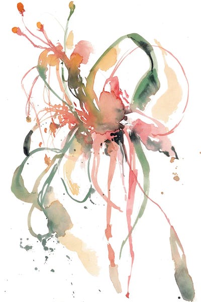 Orchidees by Claudia Bianchi framed canvas print