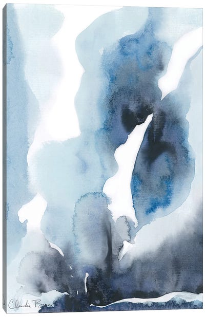 Mountain Mist Canvas Art Print - Claudia Bianchi
