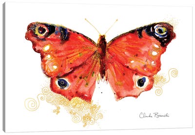 Butterfly In Gold Canvas Art Print - Claudia Bianchi