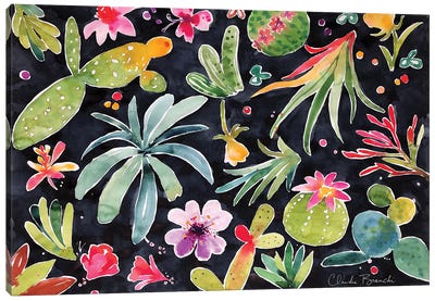 Cactus I Canvas Art Print - Claudia Bianchi