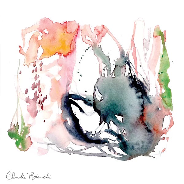 Claudia Bianchi: After The Rain by Claudia Bianchi